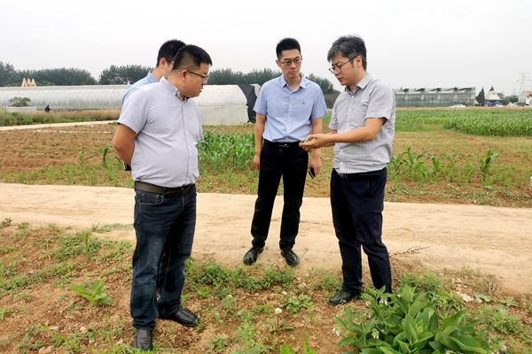 参观牧草教学试验基地.jpg