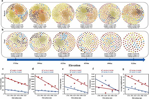 图1 不同海拔梯度下微生物共现网络.jpg